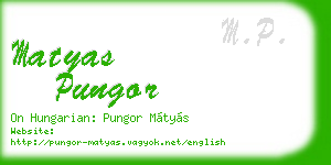 matyas pungor business card
